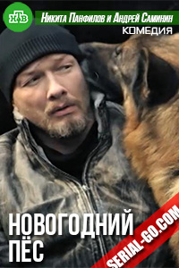 Новогодний Пёс  1, 2, 3, 4, 5 серия НТВ, ICTV, Украина